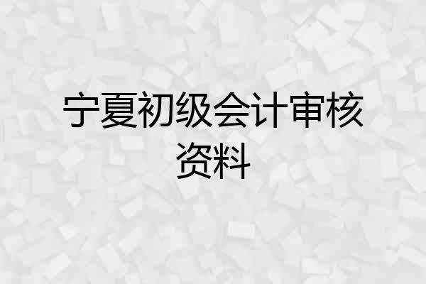 宁夏初级会计审核资料