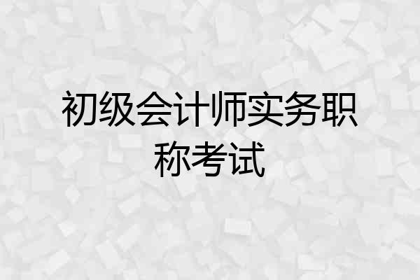 初级会计师实务职称考试