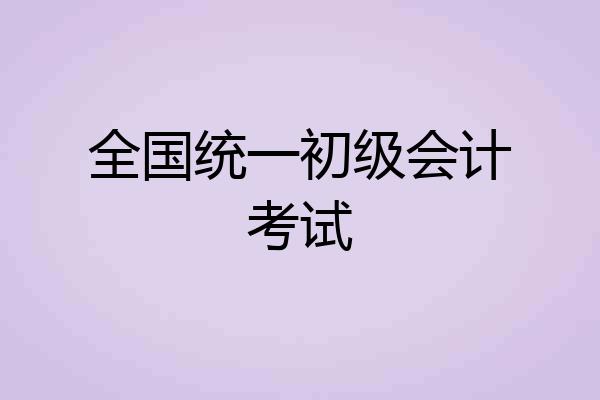 全国统一初级会计考试