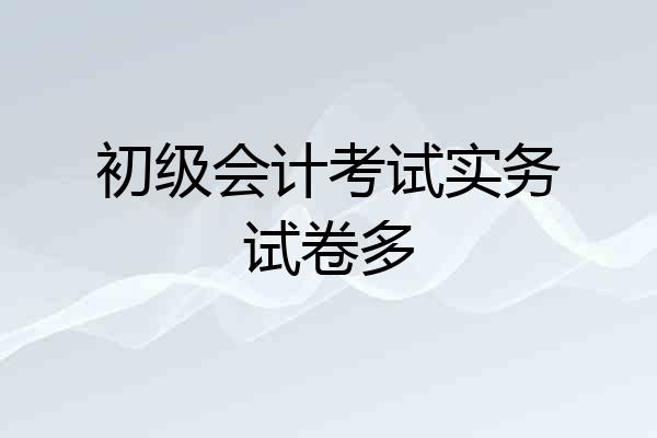 初级会计考试实务试卷多