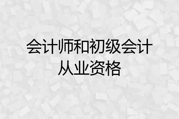 会计师和初级会计从业资格