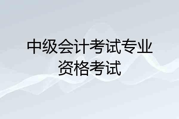 中级会计考试专业资格考试