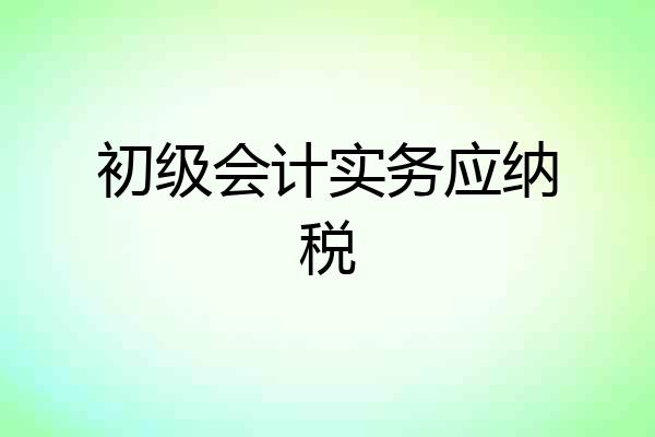 初级会计实务应纳税