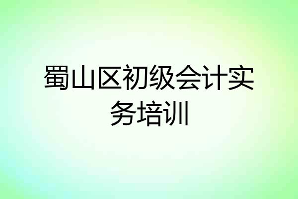 蜀山区初级会计实务培训