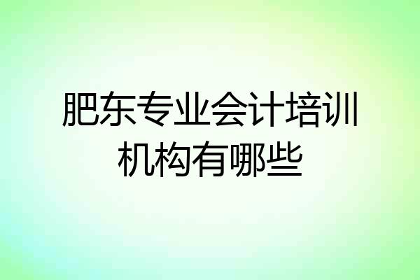 肥东专业会计培训机构有哪些