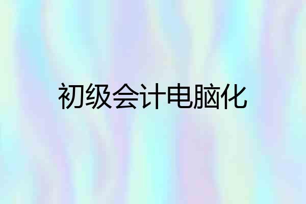初级会计电脑化
