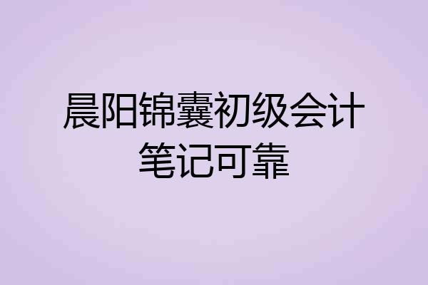 晨阳锦囊初级会计笔记可靠
