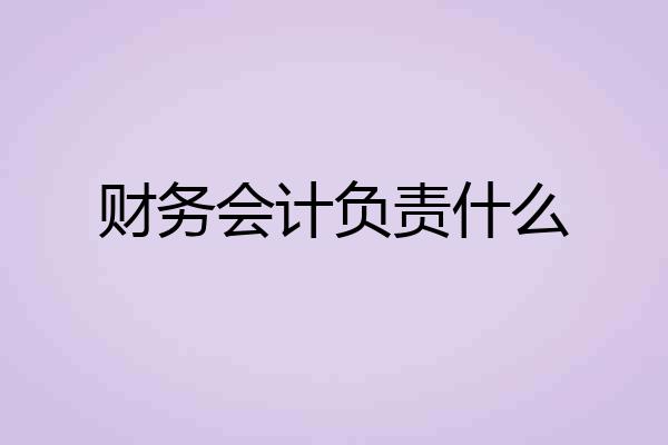财务会计负责什么