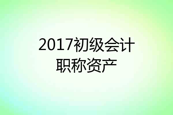 2017初级会计职称资产
