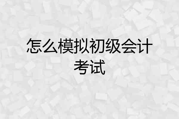怎么模拟初级会计考试