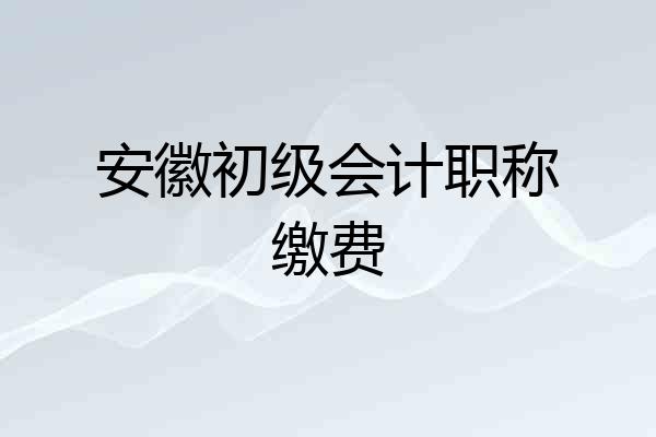 安徽初级会计职称缴费