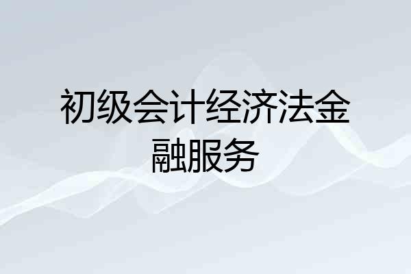 初级会计经济法金融服务