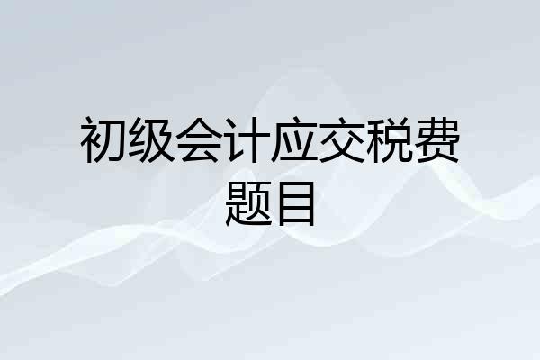 初级会计应交税费题目