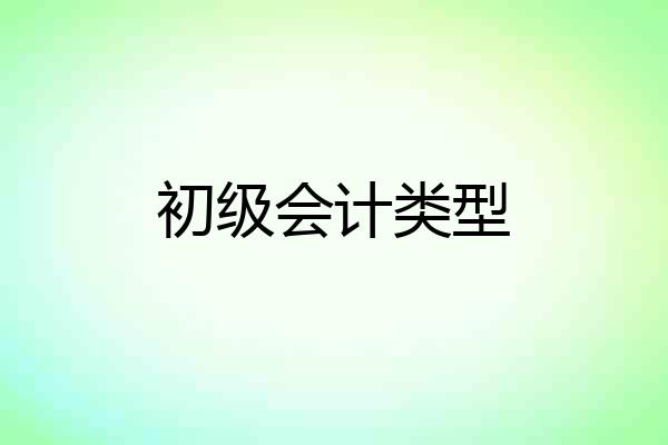 初级会计类型