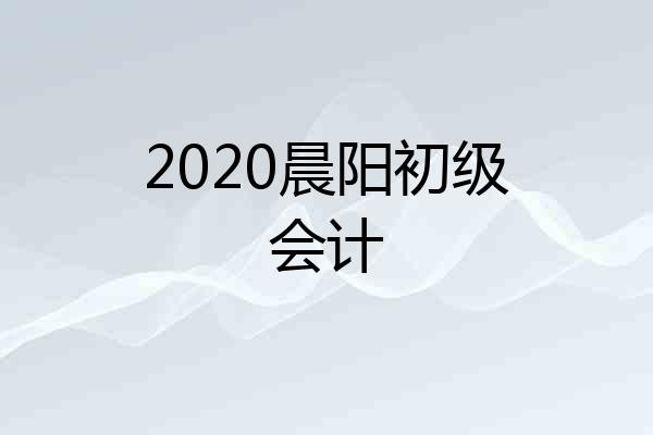 2020晨阳初级会计
