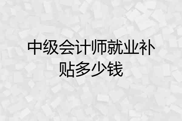 中级会计师就业补贴多少钱