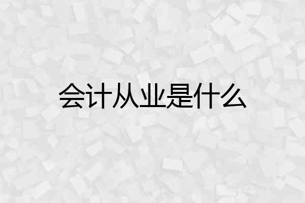 会计从业是什么
