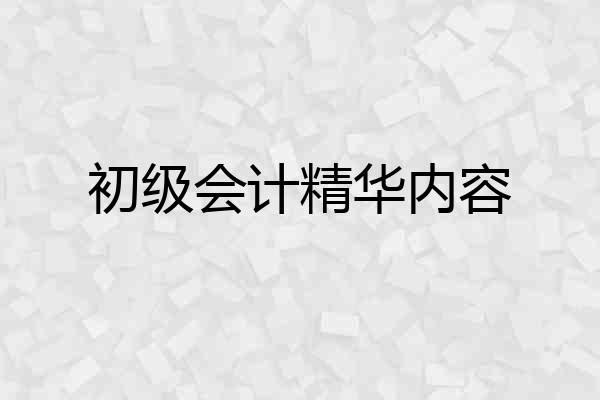 初级会计精华内容