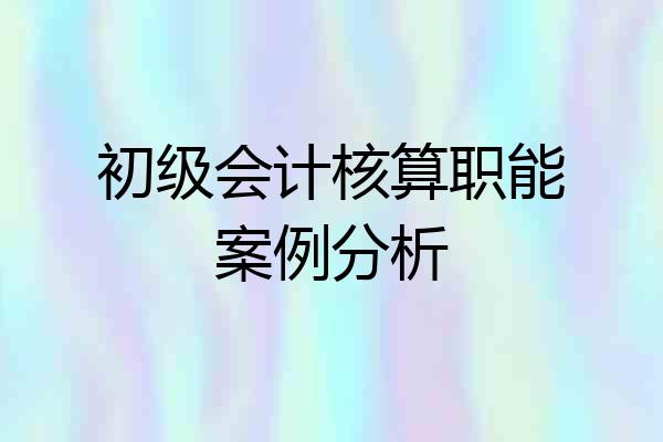 初级会计核算职能案例分析