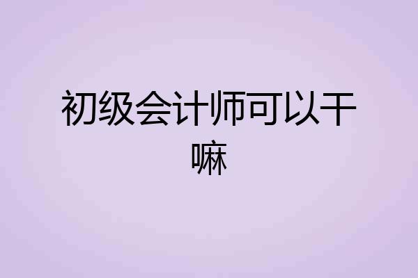 初级会计师可以干嘛