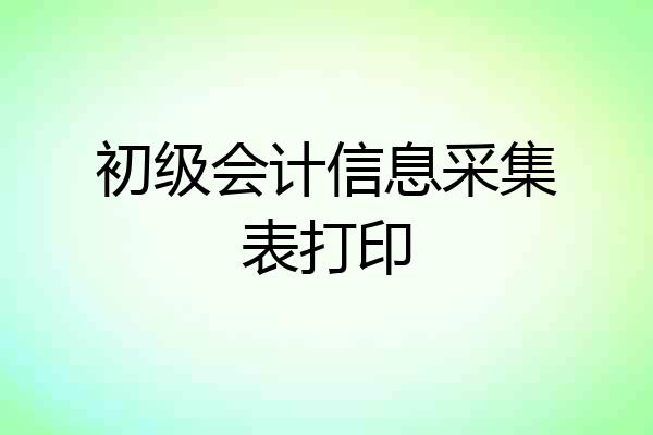初级会计信息采集表打印