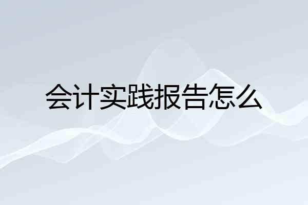 会计实践报告怎么