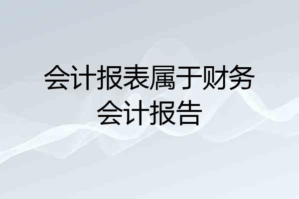 会计报表属于财务会计报告