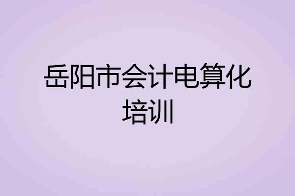 岳阳市会计电算化培训