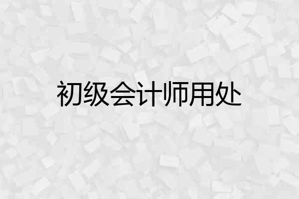 初级会计师用处