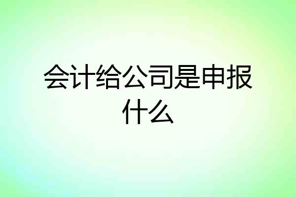 会计给公司是申报什么