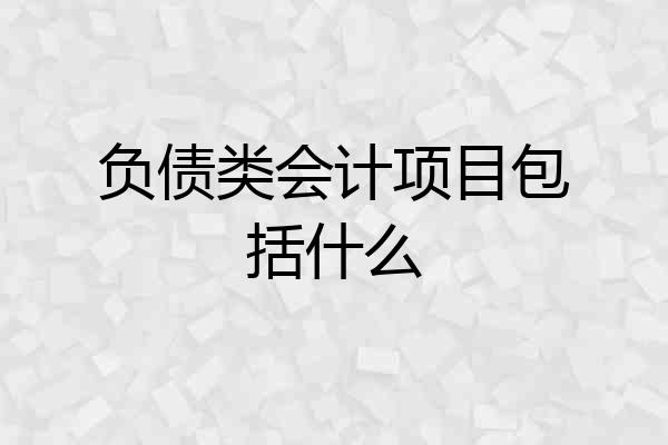 负债类会计项目包括什么