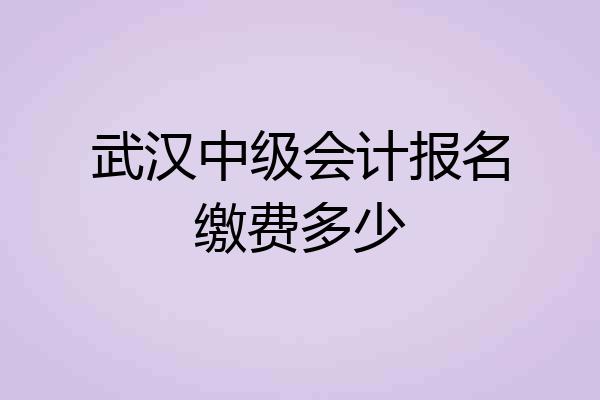 武汉中级会计报名缴费多少