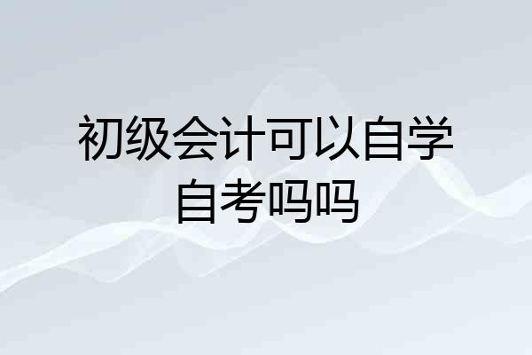 初级会计可以自学自考吗吗