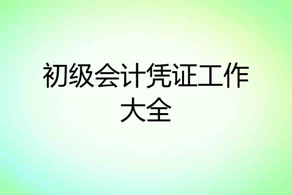 初级会计凭证工作大全