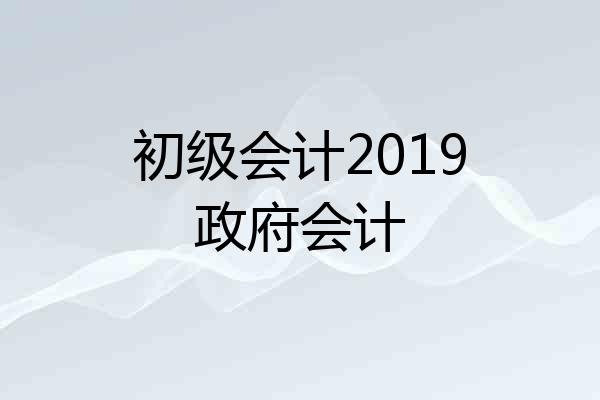 初级会计2019政府会计