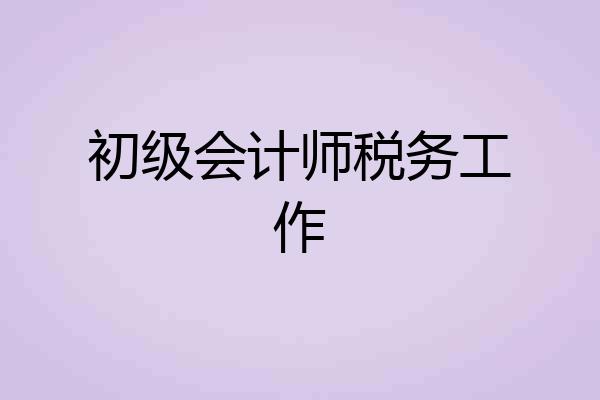 初级会计师税务工作