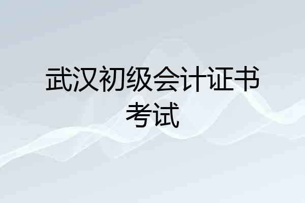 武汉初级会计证书考试