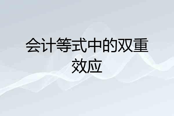 会计等式中的双重效应