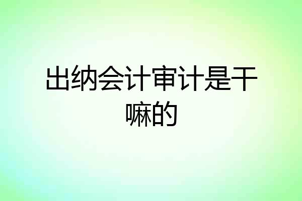 出纳会计审计是干嘛的