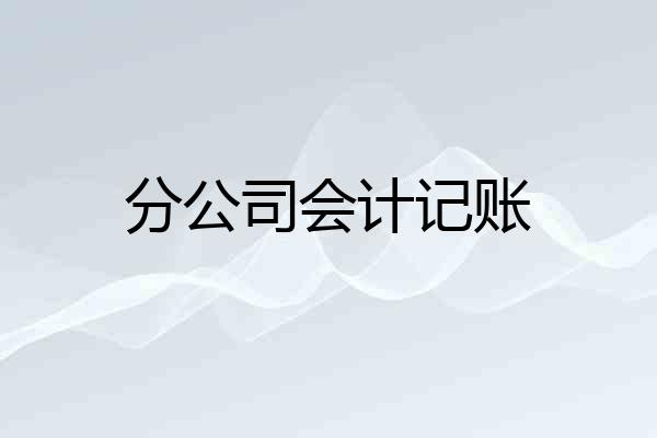 分公司会计记账