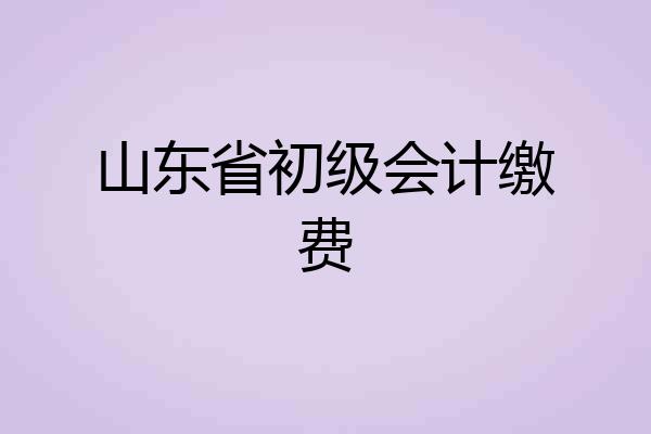 山东省初级会计缴费