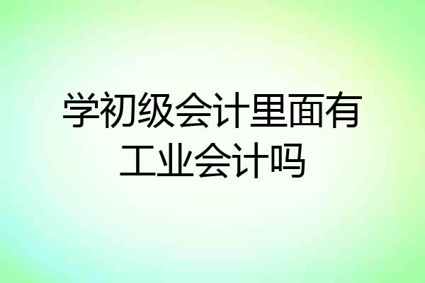 学初级会计里面有工业会计吗
