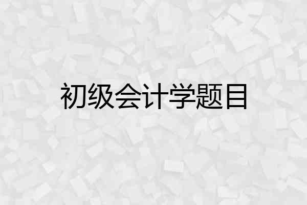 初级会计学题目
