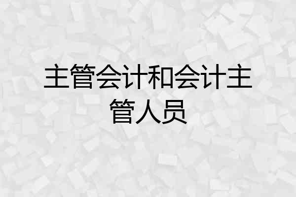 主管会计和会计主管人员