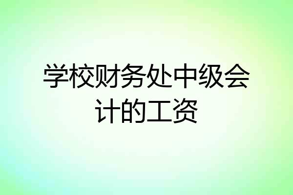学校财务处中级会计的工资