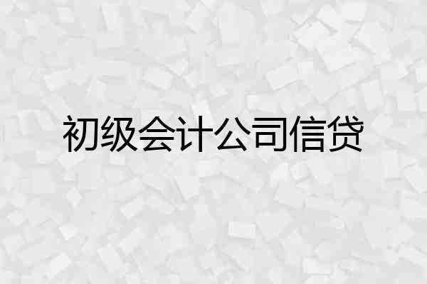 初级会计公司信贷