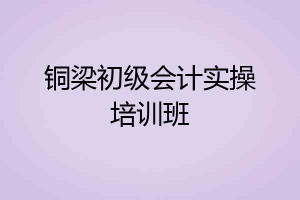铜梁初级会计实操培训班