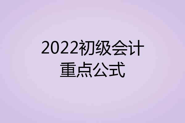 2022初级会计重点公式