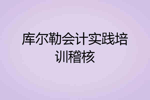 库尔勒会计实践培训稽核
