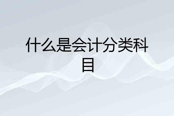 什么是会计分类科目